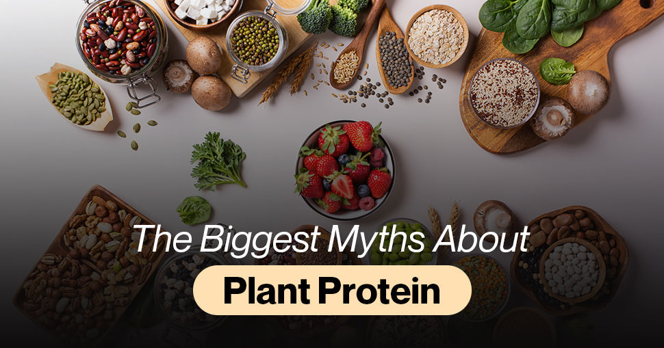 The Biggest Myths About Plant Protein Debunked  Setu Nutrition