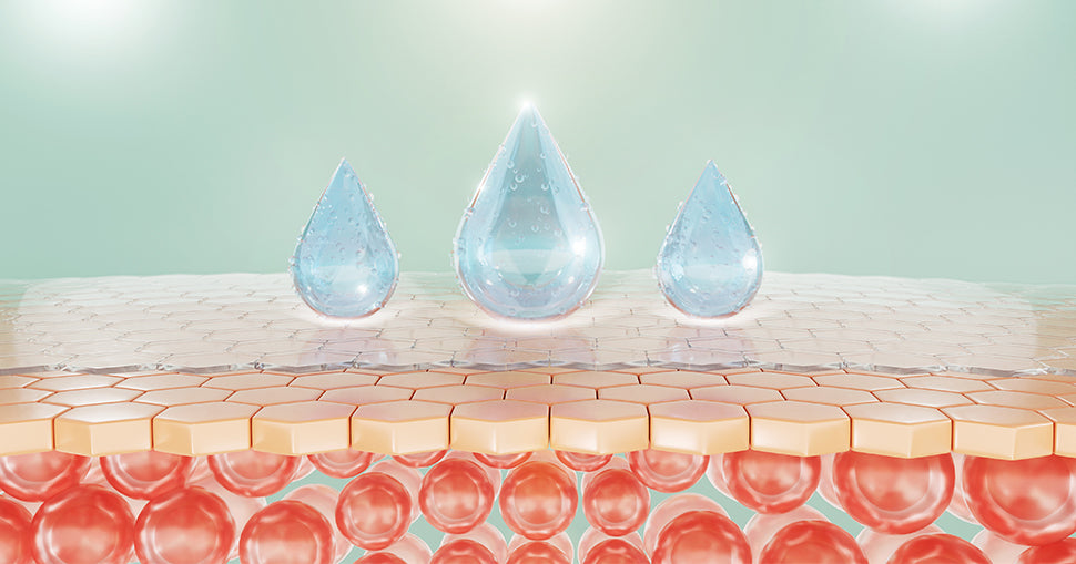 The Magic Molecule: An Inside Look at How Glutathione Works Setu Nutrition The Magic Molecule: An Inside Look at How Glutathione Works Setu Nutrition