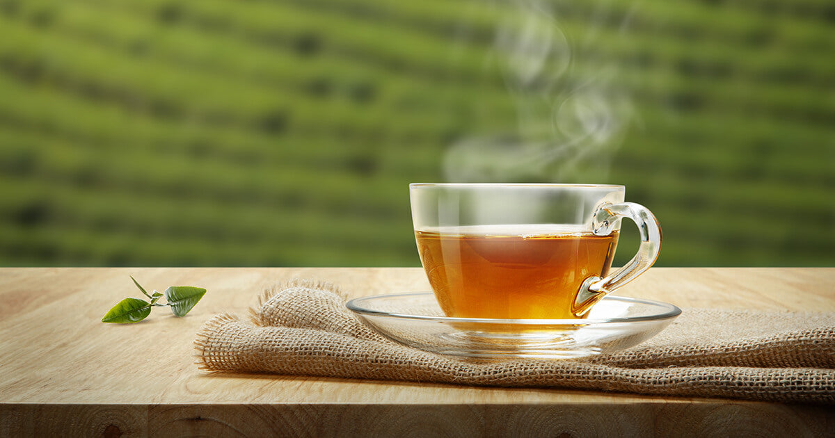 Can Green Tea Be Harmful? Setu Nutrition