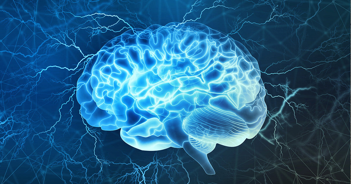 Know the Top Benefits of Lutein for Brain Health Setu Nutrition