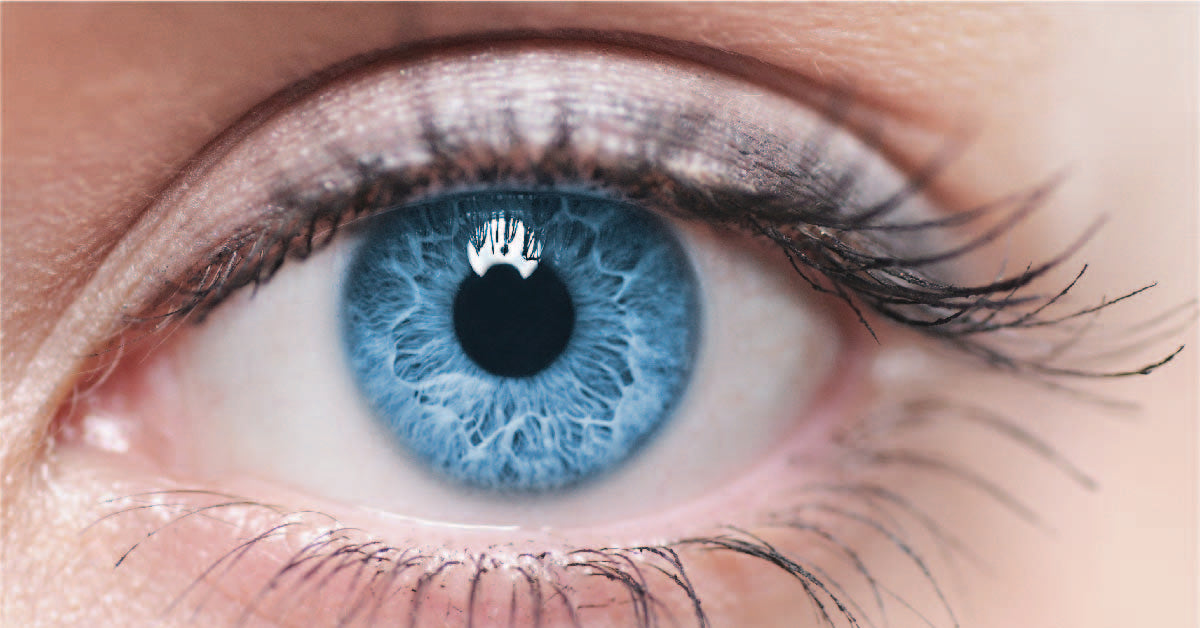 Eye Floaters: A Complete Guide – Setu Nutrition