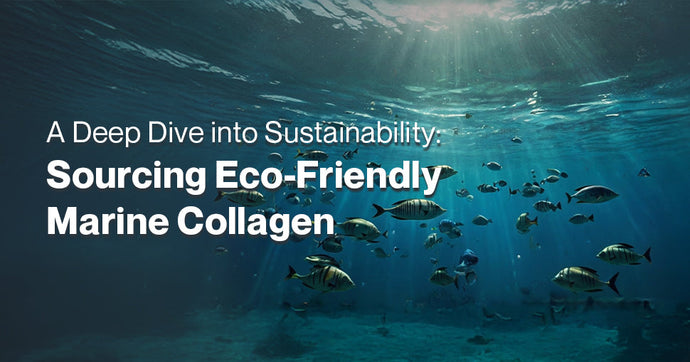 A Deep Dive into Sustainability: Sourcing Eco-Friendly Marine Collagen